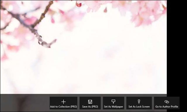 Tùy chọn cài hình nền