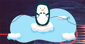 Cách dùng PenguinProxy kết nối mạng riêng ảo