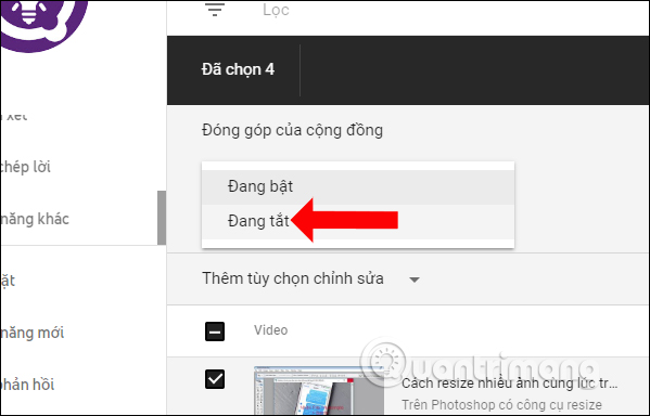Tắt đóng góp video
