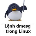 Cách sử dụng lệnh dmesg trong Linux