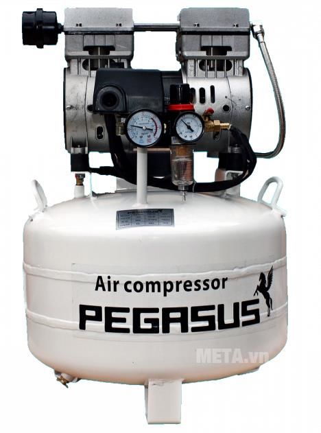 Máy nén khí không dầu Pegasus TM-OF750 (40 lít)