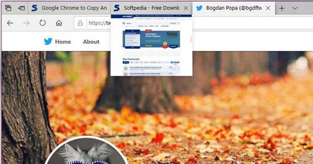 Tính năng xem trước tab khi người dùng trỏ chuột lên tab