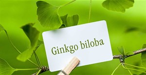 Ginkgo Biloba là gì? Tác dụng của Ginkgo Biloba?