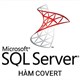 Hàm CONVERT trong SQL Server