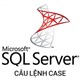 Câu lệnh CASE trong SQL Server