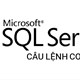 Câu lệnh COALESCE trong SQL Server