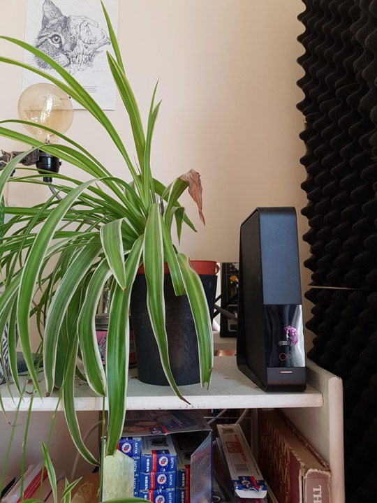 Tấm ảnh khiến cư dân mạng đưa ra những bình luận trái chiều