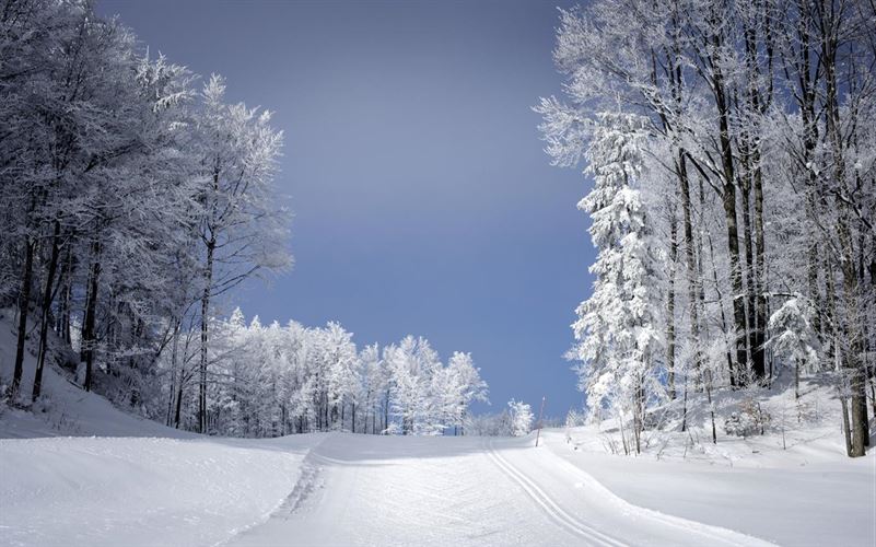 Ski Paradise