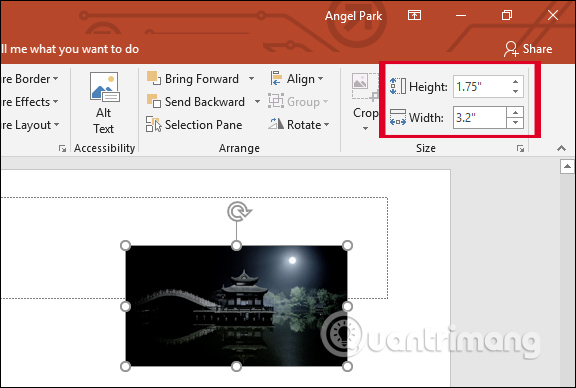 Cách chỉnh kích thước ảnh PowerPoint tự động - Ảnh minh hoạ 7