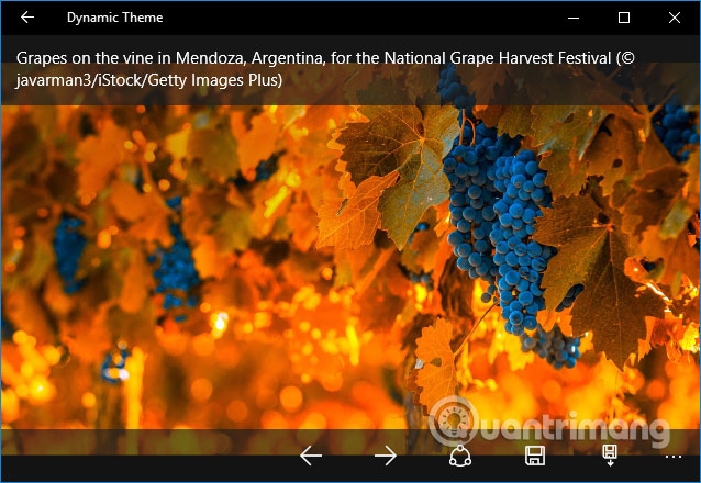 Trình chiếu ảnh