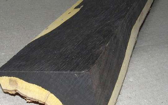 African Black Wood - Gỗ đen Châu Phi
