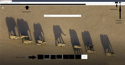 [Video] Chiêm ngưỡng hình ảnh mới nhất của trình duyệt Microsoft Edge trên nền Chromium