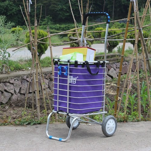 giỏ đi chợ có bánh xe