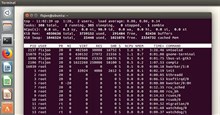 Sử dụng lệnh Top để xem các tiến trình đang chạy trong Linux