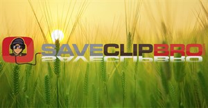 Cách tải, đổi định dạng video YouTube trên SaveClipBro