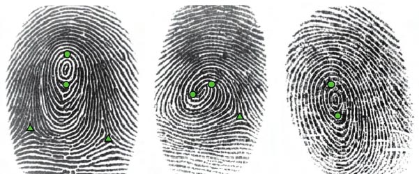 Cấu trúc dấu vân tay