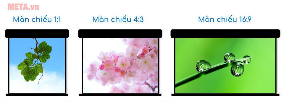 Tỉ lệ màn máy chiếu thông dụng.