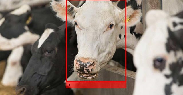 Dự án này của Cisco có ý nghĩa rất lớn không chỉ trong lĩnh vực công nghệ, nó còn cho thấy triển vọng của 5G trong việc được triển khai ở mọi khía cạnh của đời sống.