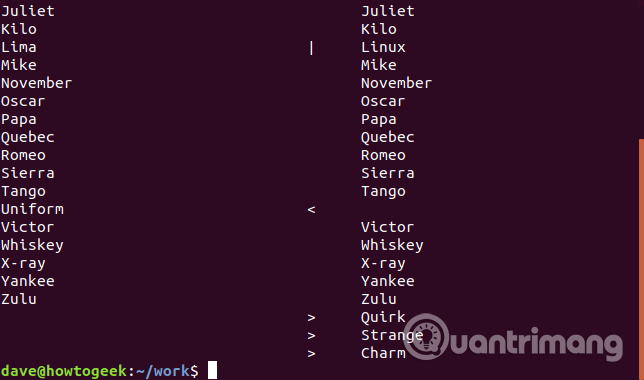 Sử dụng tùy chọn -y