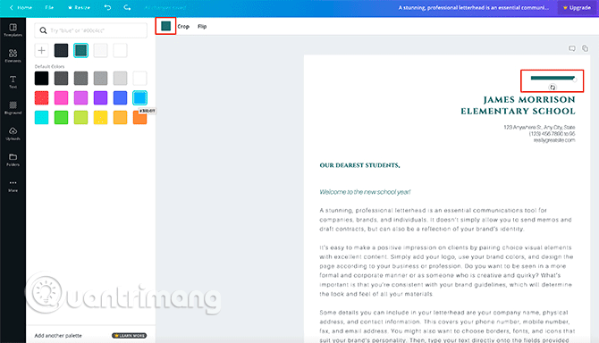 Chỉnh sửa các chi tiết hình ảnh trên Cover Letter