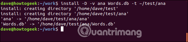 Copy the two files into the ~ / test / ana directory