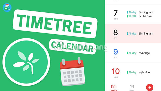 TimeTree