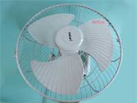 Quạt đảo trần