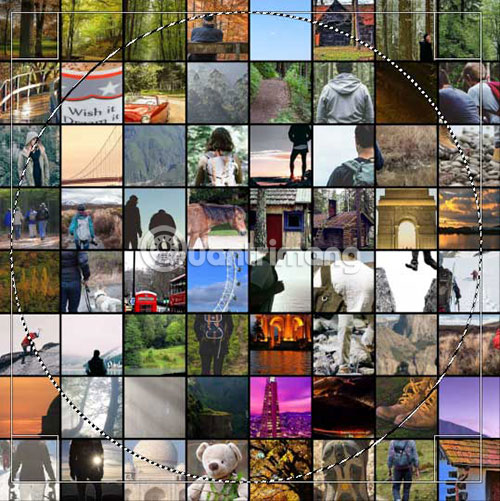 Chọn vùng muốn lấy trên hình ảnh