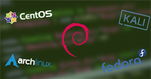 11 bản phân phối Linux tốt nhất dành cho lập trình viên