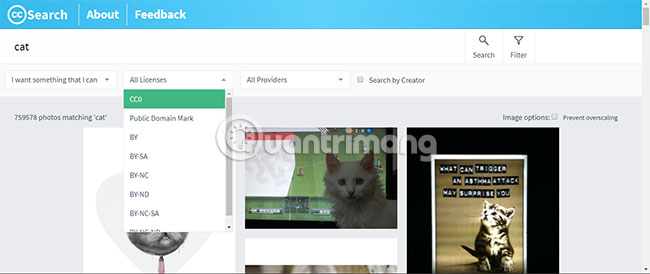 Chọn “Use for commercial purposes” hoặc “Modify and adapt”