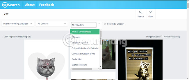 Bạn có thể chọn các bộ lọc khác như tên chính xác của giấy phép và một số nhà cung cấp có sẵn trong Creative Commons