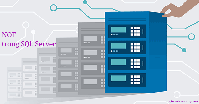 Điều kiện NOT trong SQL Server - QuanTriMang.com