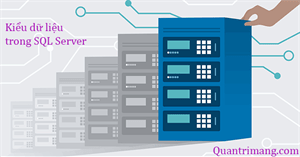 Các kiểu dữ liệu trong SQL Server