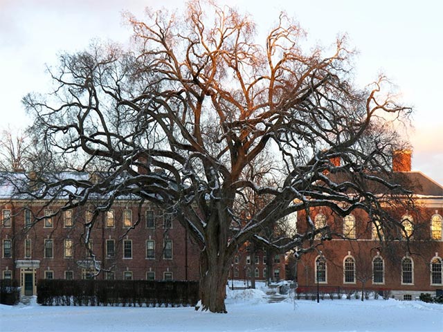 Học viện Phillips