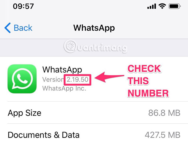 Check WhatsApp version on iPhone