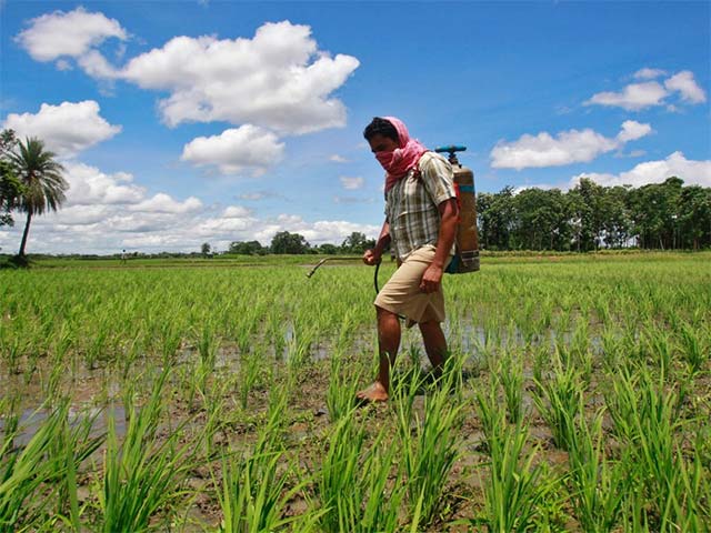 Canh tác đất nông nghiệp quá mức