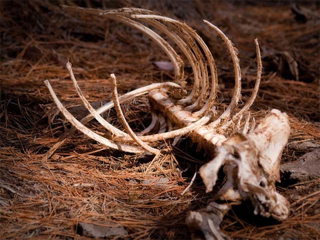 "Hủy diệt sinh học"