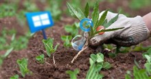 16 chương trình và ứng dụng Windows không cần thiết, bạn nên gỡ cài đặt