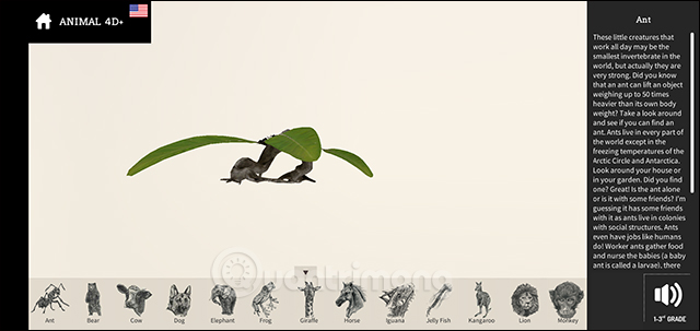 Thông tin về loài vật