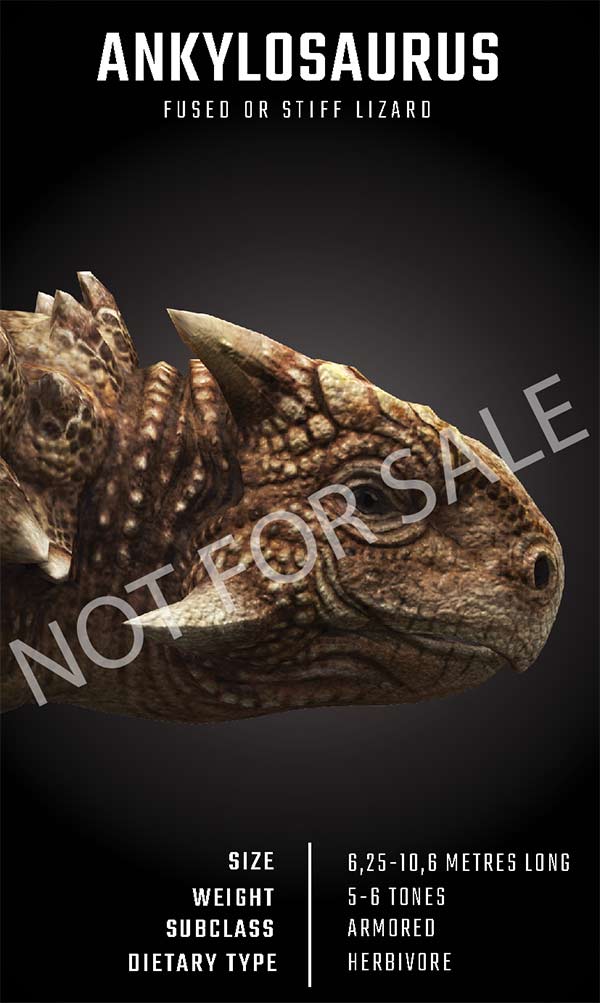 Hình khủng long 2