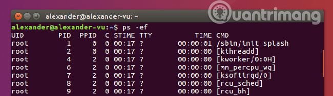Hiển thị tiến trình