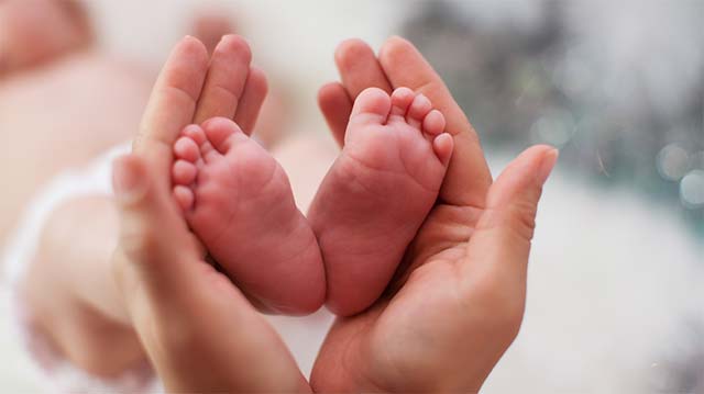 Mối quan hệ đáng ngạc nhiên giữa biến đổi khí hậu và tỷ lệ sinh 