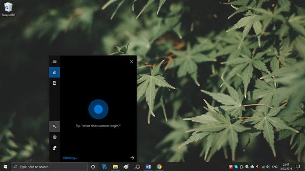 Cortana và công cụ tìm kiếm được tác riêng ra làm hai