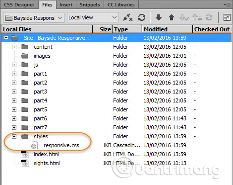 Mở rộng thư mục styles