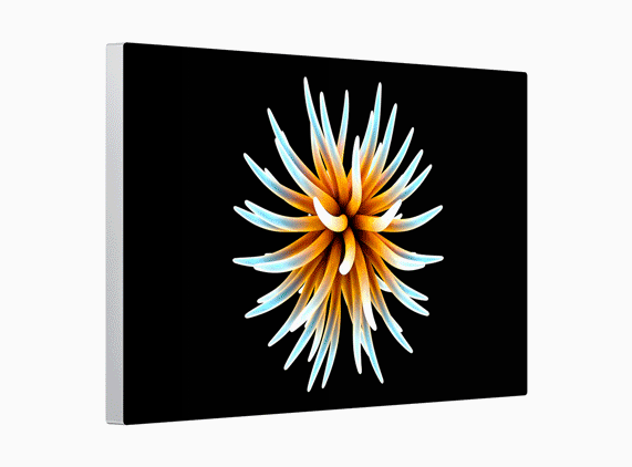 Tấm nền với dài màu động cao