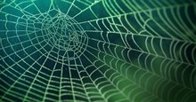 Bật mí 6 hiểu lầm về Dark Web