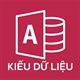 Các kiểu dữ liệu trong Access 2016