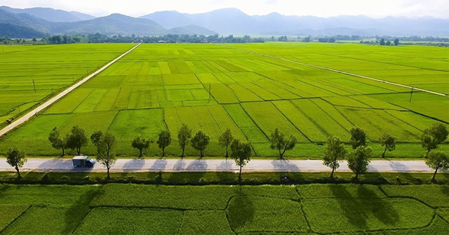 1 công đất bằng bao nhiêu m2, ha tính theo công đất Nam Bộ, Trung Bộ, Bắc Bộ