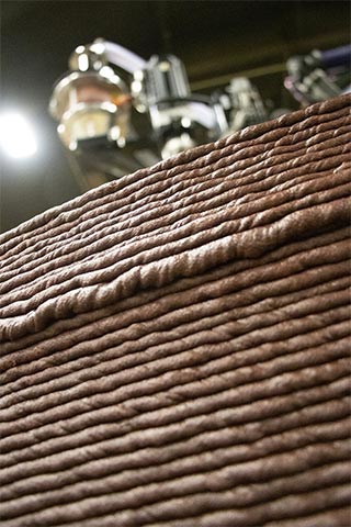 Hỗn hợp bazan biopolymer