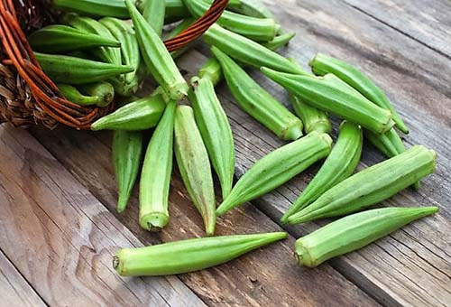 Nguồn cung cấp axit folic